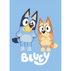 Bluey Twin/Full Blanket