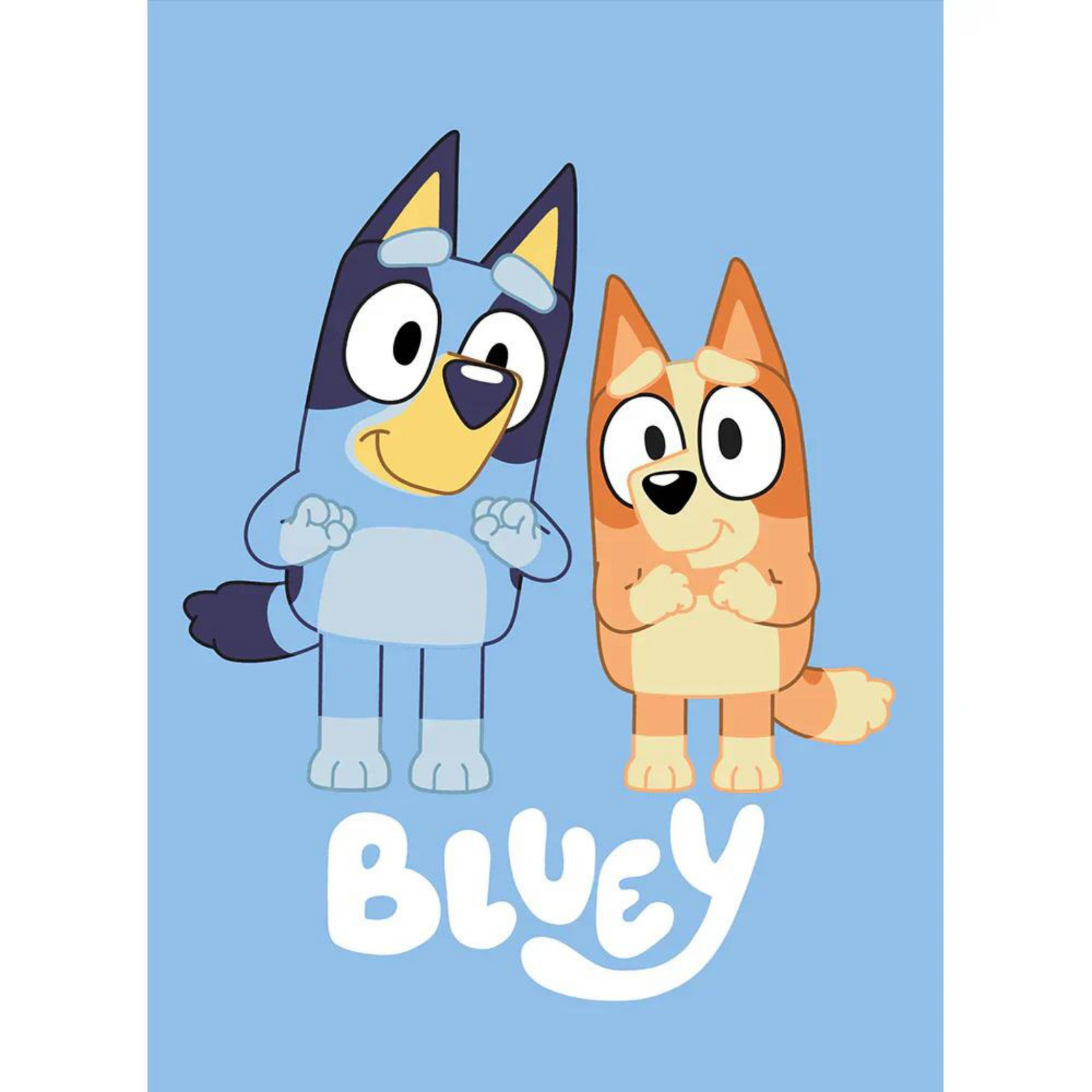 Bluey Twin/Full Blanket