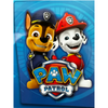 Paw Patrol Twin/Full Blanket